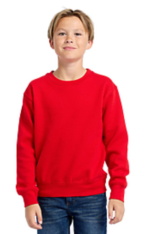 303 YOUTH ESSENTIAL CREW SWEATSHRIT - Dallas Shirts Wholesale