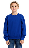 303 YOUTH ESSENTIAL CREW SWEATSHRIT - Dallas Shirts Wholesale