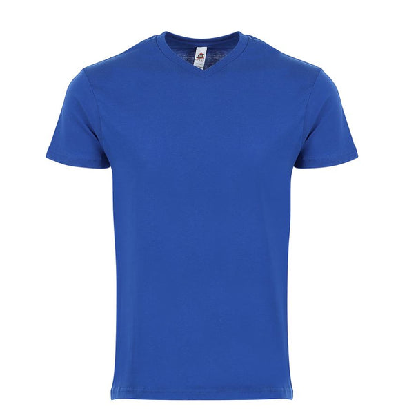 MEN'S SOFTSTYLE COMFORT FIT V-NECK TEE